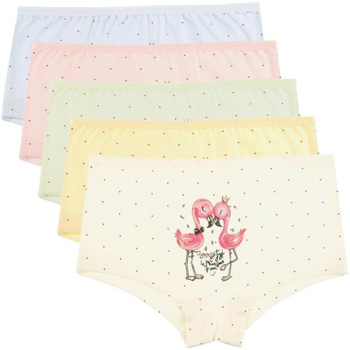 Donella Трусы шорты для девочек 461270B, с фламинго, цвета в ассортименте, 0-1 год - 86/92, 1шт Donella Трусы шорты для девочек 461270B, с фламинго, цвета в ассортименте, 0-1 год - 86/92, 1шт