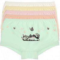 Donella Трусы для девочек шортиками 4671MD, размер 4/5 - 110/116, цвета в ассортименте